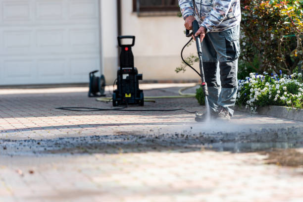 Best Exterior Home Cleaning  in Blue Earth, MN