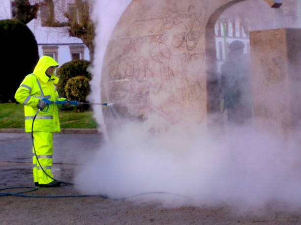 Best Roof Pressure Washing  in Blue Earth, MN