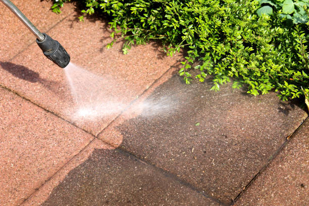  Blue Earth, MN Pressure Washing Pros